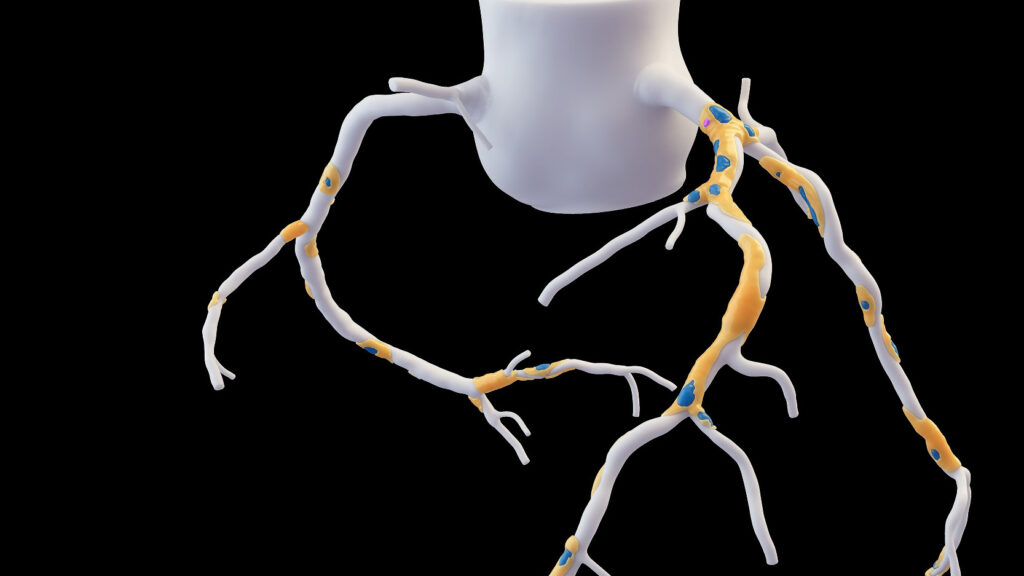 b85b624edd318bd47869cdad66270388f296cb5a